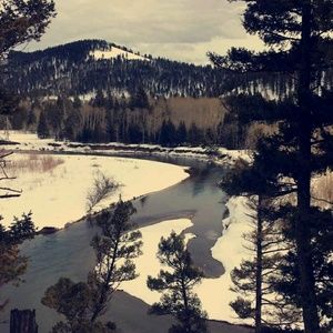 Meet your Posher, Kira